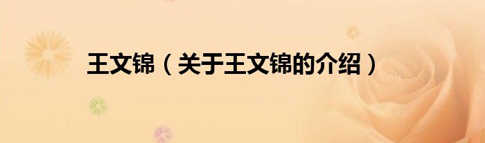 王文錦（關(guān)于王文錦的介紹）