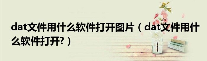 dat文件用什么軟件打開圖片（dat文件用什么軟件打開?）