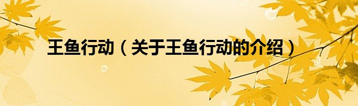 王魚行動（關(guān)于王魚行動的介紹）