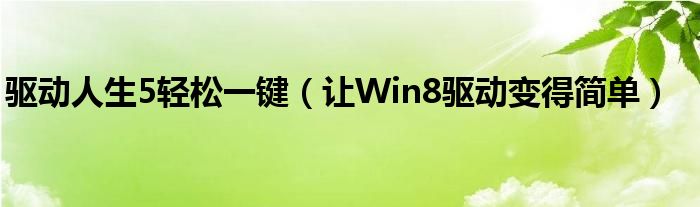 驅(qū)動(dòng)人生5輕松一鍵（讓W(xué)in8驅(qū)動(dòng)變得簡(jiǎn)單）