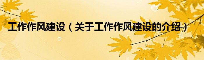 工作作風(fēng)建設(shè)（關(guān)于工作作風(fēng)建設(shè)的介紹）