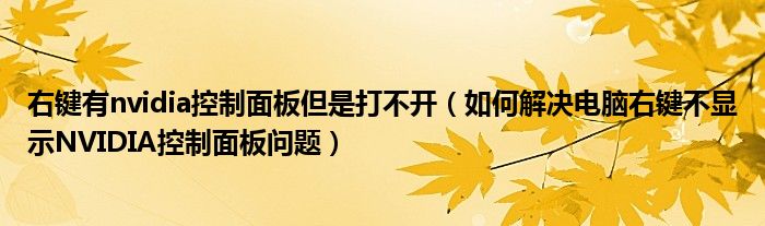 右鍵有nvidia控制面板但是打不開(kāi)（如何解決電腦右鍵不顯示NVIDIA控制面板問(wèn)題）