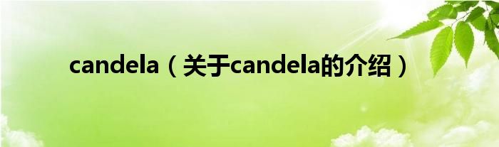 candela（關(guān)于candela的介紹）