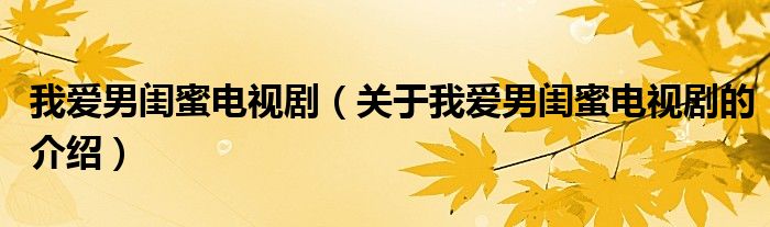 我愛(ài)男閨蜜電視?。P(guān)于我愛(ài)男閨蜜電視劇的介紹）