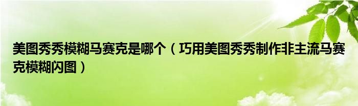 美圖秀秀模糊馬賽克是哪個（巧用美圖秀秀制作非主流馬賽克模糊閃圖）
