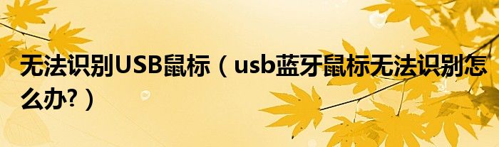 無(wú)法識(shí)別USB鼠標(biāo)（usb藍(lán)牙鼠標(biāo)無(wú)法識(shí)別怎么辦?）