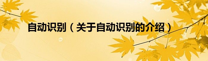 自動識別（關(guān)于自動識別的介紹）