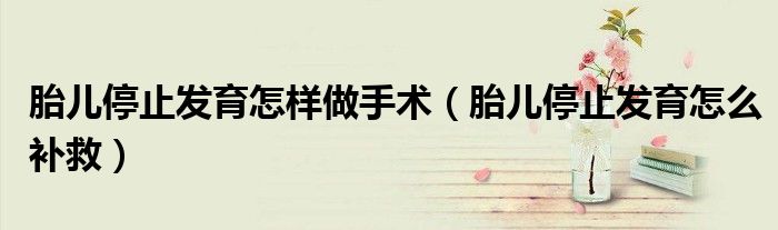 胎兒停止發(fā)育怎樣做手術(shù)（胎兒停止發(fā)育怎么補(bǔ)救）