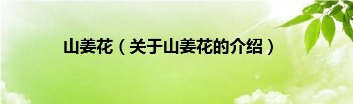 山姜花（關(guān)于山姜花的介紹）