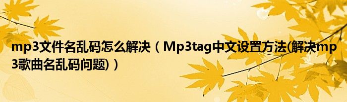 mp3文件名亂碼怎么解決（Mp3tag中文設(shè)置方法(解決mp3歌曲名亂碼問題)）