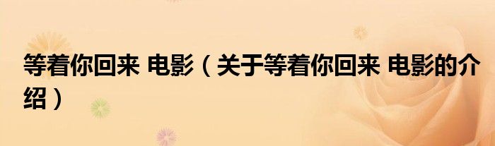 等著你回來 電影（關(guān)于等著你回來 電影的介紹）