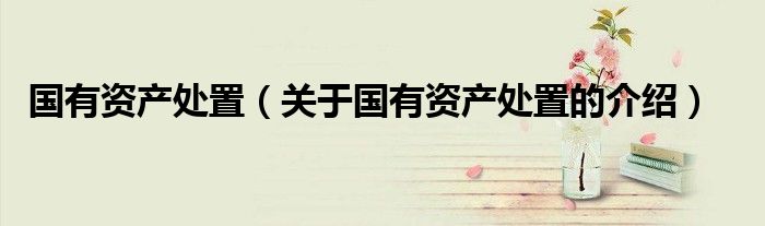 國(guó)有資產(chǎn)處置（關(guān)于國(guó)有資產(chǎn)處置的介紹）