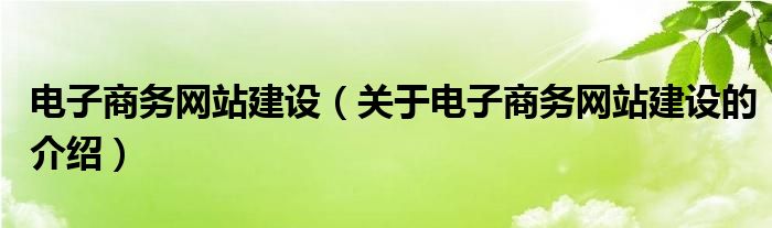 電子商務(wù)網(wǎng)站建設(shè)（關(guān)于電子商務(wù)網(wǎng)站建設(shè)的介紹）