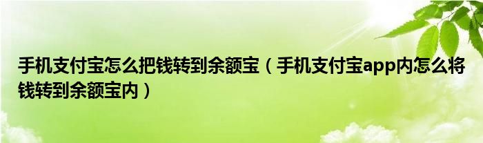 手機(jī)支付寶怎么把錢轉(zhuǎn)到余額寶（手機(jī)支付寶app內(nèi)怎么將錢轉(zhuǎn)到余額寶內(nèi)）