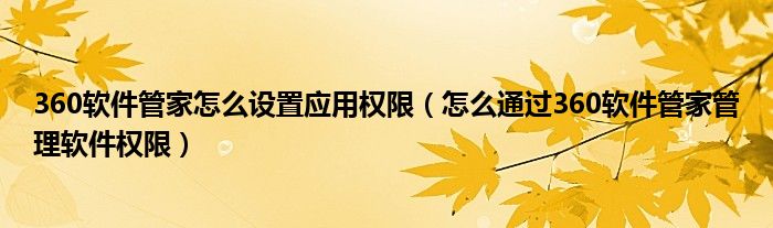 360軟件管家怎么設(shè)置應(yīng)用權(quán)限（怎么通過(guò)360軟件管家管理軟件權(quán)限）