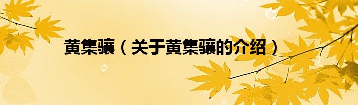 黃集驤（關(guān)于黃集驤的介紹）