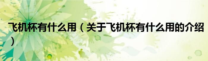 飛機杯有什么用（關(guān)于飛機杯有什么用的介紹）