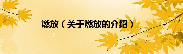 燃放（關(guān)于燃放的介紹）