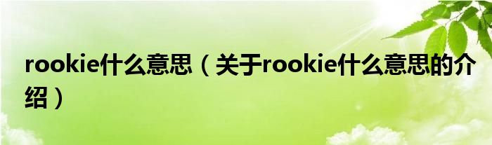 rookie什么意思（關(guān)于rookie什么意思的介紹）