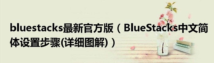 bluestacks最新官方版（BlueStacks中文簡體設(shè)置步驟(詳細(xì)圖解)）