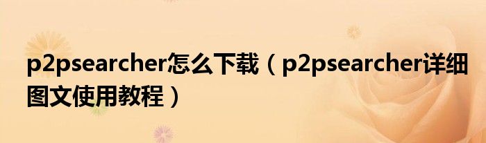p2psearcher怎么下載（p2psearcher詳細(xì)圖文使用教程）