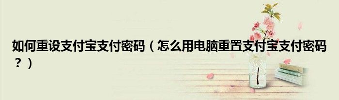 如何重設(shè)支付寶支付密碼（怎么用電腦重置支付寶支付密碼？）