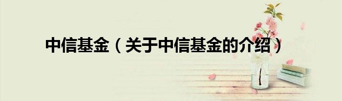 中信基金（關(guān)于中信基金的介紹）