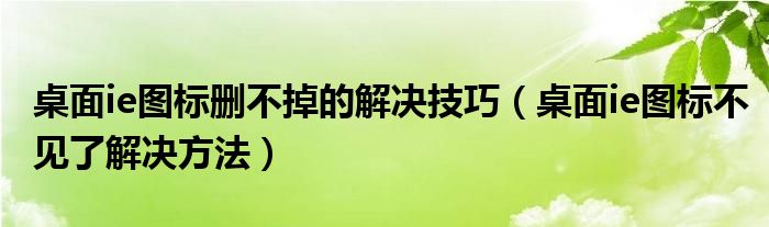 桌面ie圖標(biāo)刪不掉的解決技巧（桌面ie圖標(biāo)不見了解決方法）