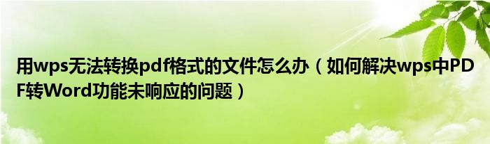 用wps無法轉(zhuǎn)換pdf格式的文件怎么辦（如何解決wps中PDF轉(zhuǎn)Word功能未響應(yīng)的問題）