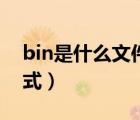 bin是什么文件的擴(kuò)展名（bin是什么文件格式）
