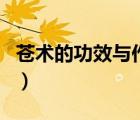蒼術(shù)的功效與作用是什么（蒼術(shù)的功效與作用）
