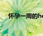懷孕一周的hcg多少（懷孕一周的征兆）