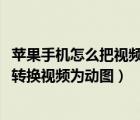 蘋果手機怎么把視頻轉(zhuǎn)化為動圖（如何在iPhone蘋果手機中轉(zhuǎn)換視頻為動圖）