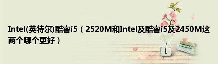 Intel(英特爾)酷睿i5（2520M和Intel及酷睿i5及2450M這兩個(gè)哪個(gè)更好）