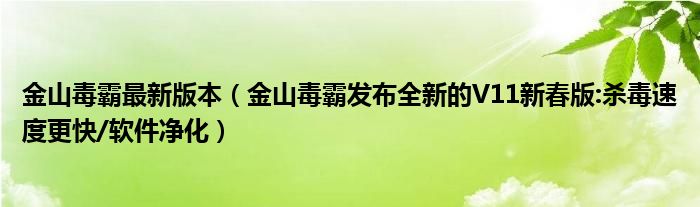 金山毒霸最新版本（金山毒霸發(fā)布全新的V11新春版:殺毒速度更快/軟件凈化）