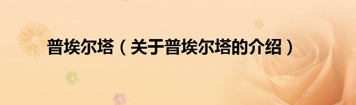 普埃爾塔（關(guān)于普埃爾塔的介紹）