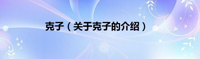 克子（關(guān)于克子的介紹）