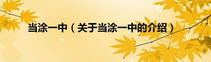 當(dāng)涂一中（關(guān)于當(dāng)涂一中的介紹）