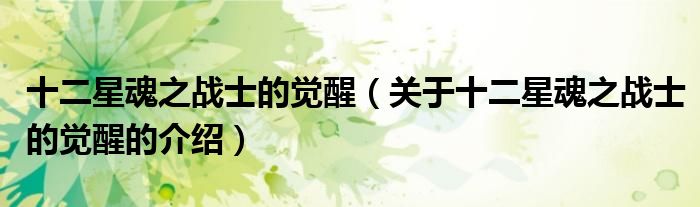 十二星魂之戰(zhàn)士的覺醒（關(guān)于十二星魂之戰(zhàn)士的覺醒的介紹）