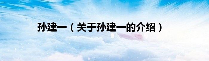 孫建一（關于孫建一的介紹）