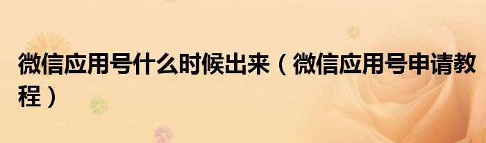 微信應(yīng)用號(hào)什么時(shí)候出來(lái)（微信應(yīng)用號(hào)申請(qǐng)教程）