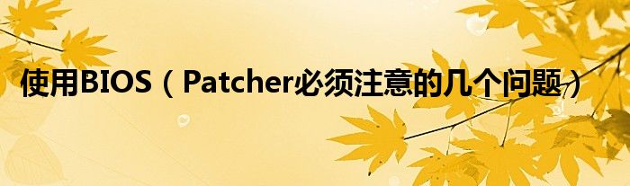 使用BIOS（Patcher必須注意的幾個問題）