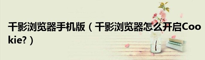 千影瀏覽器手機(jī)版（千影瀏覽器怎么開啟Cookie?）