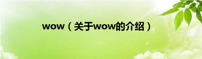 wow（關(guān)于wow的介紹）
