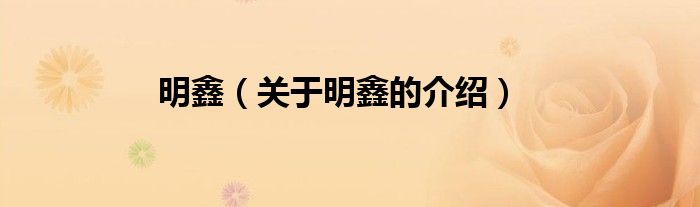 明鑫（關(guān)于明鑫的介紹）