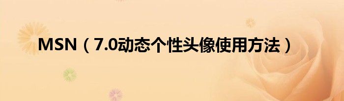 MSN（7.0動態(tài)個性頭像使用方法）
