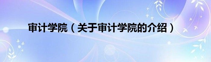 審計學院（關于審計學院的介紹）