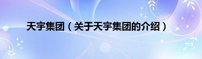 天宇集團（關于天宇集團的介紹）