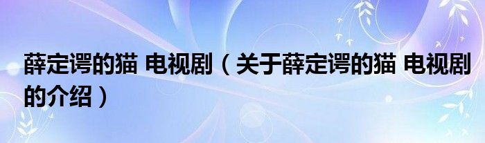 薛定諤的貓 電視?。P(guān)于薛定諤的貓 電視劇的介紹）
