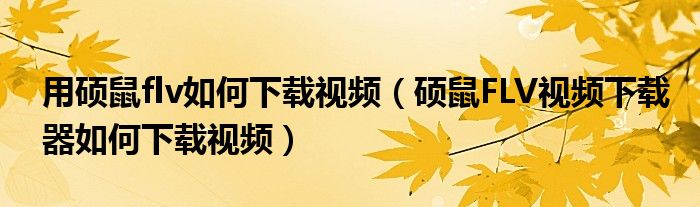 用碩鼠flv如何下載視頻（碩鼠FLV視頻下載器如何下載視頻）